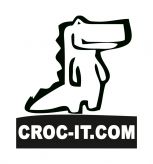CROC-IT, it-компания